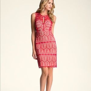 Bebe lace dress